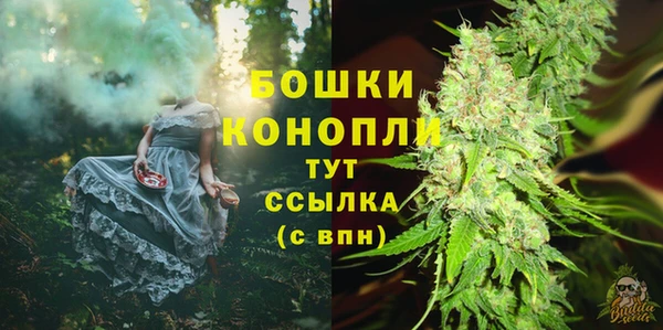 шишки Вяземский