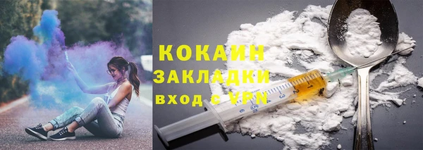 шишки Вяземский
