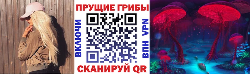 Галлюциногенные грибы мицелий  площадка наркотические препараты  Дербент 