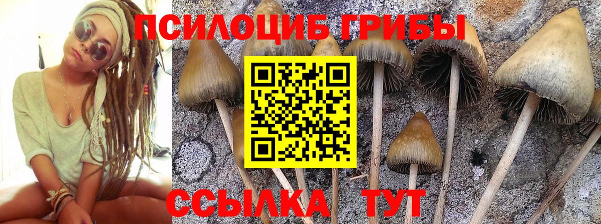 Псилоцибиновые грибы Magic Shrooms Дербент