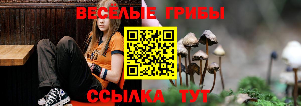 дарнет шоп  Дербент  Псилоцибиновые грибы мухоморы  Галлюциногенные грибы ЛСД 