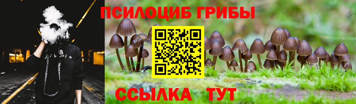 Дербент  Галлюциногенные грибы MAGIC MUSHROOMS  Вход с VPN  Галлюциногенные грибы мухоморы 