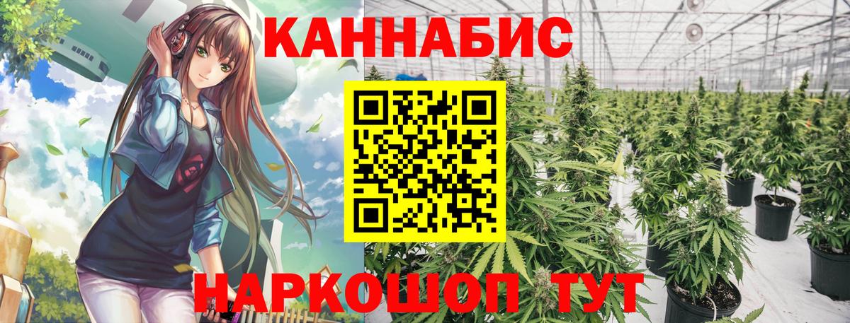 Конопля тримм  Шишки марихуана OG Kush  МАРИХУАНА планчик  Дербент  Вход с VPN 